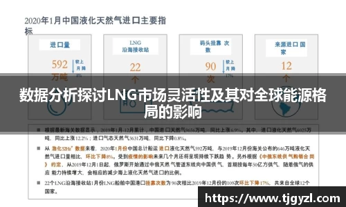 数据分析探讨LNG市场灵活性及其对全球能源格局的影响