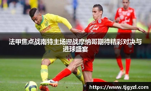 3003新葡的京集团